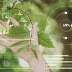 ¡Game Changer! La CSRD borra la línea entre lo Financiero y la Sostenibilidad.